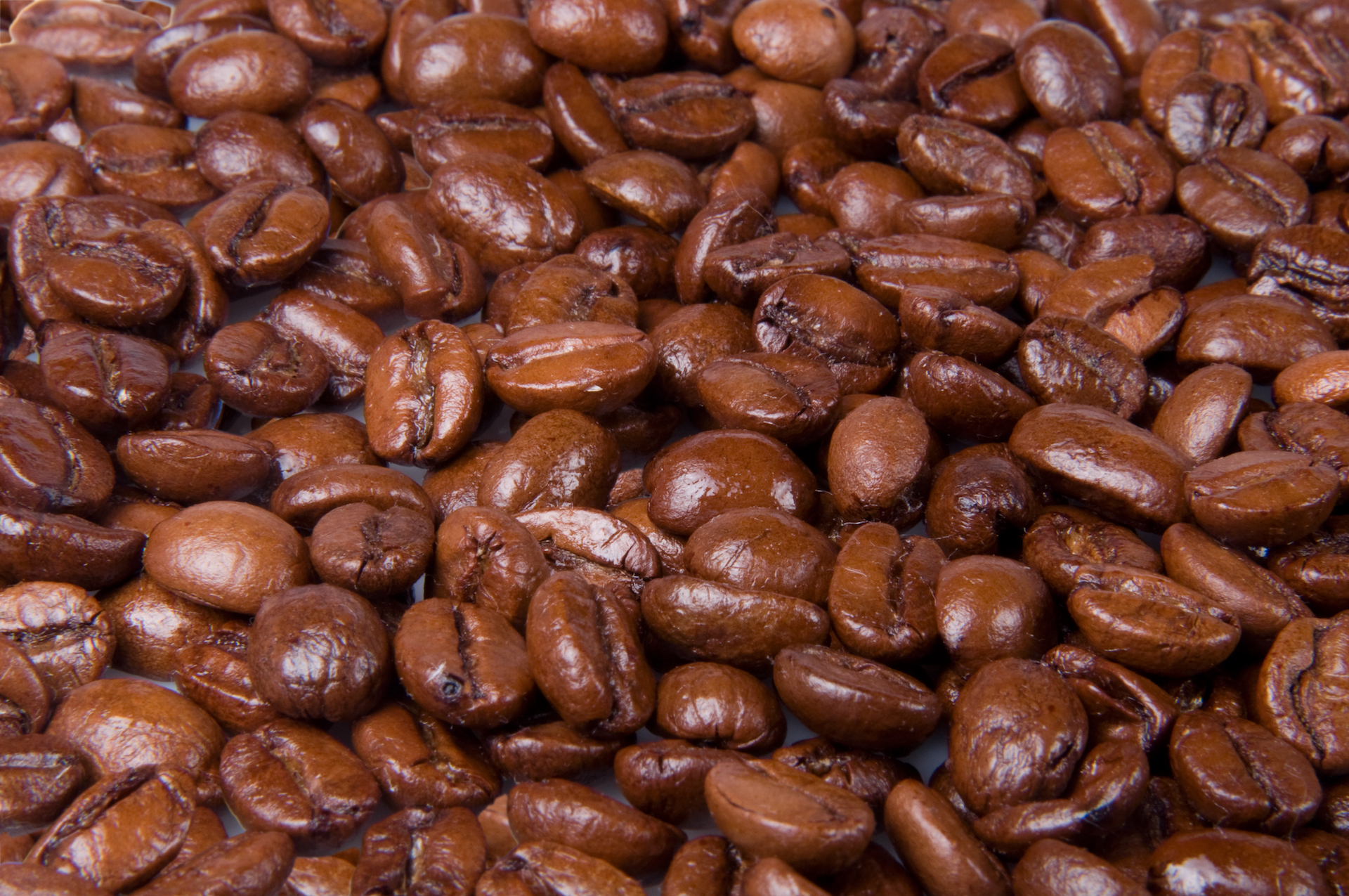 A picture of coffee beans for the Splash Tears lubricant eye drops blog